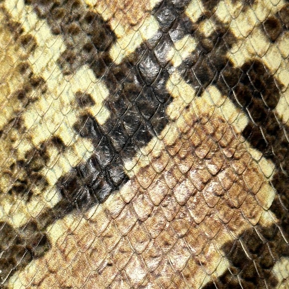 MADEWELL | The Frances Skimmer Mule in Snake Embossed Leather Slide Sandal Shoe - Picture 14 of 16